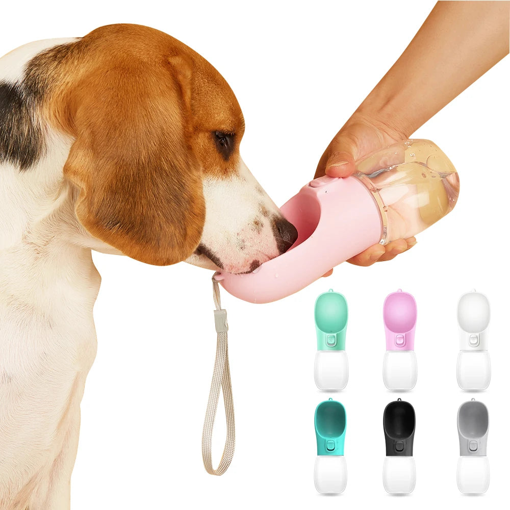 3-in-1 portable water bottle for dogs
