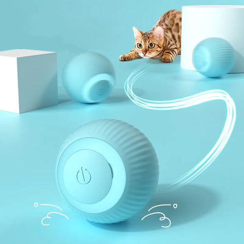 Motion-activated rolling ball dog and cat toy